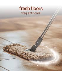 Floor Cleaner